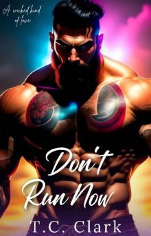 Don't Run Now : Wicked Love Series (A Wicked Kind of Love Book 1)