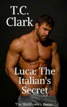 Luca: The Italian's Secret (The Wallflower's Series Book 2)