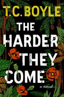 The Harder They Come The Harder They Come