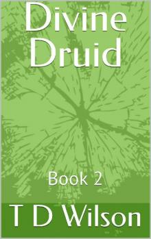 Divine Druid: Book 2