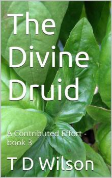 The Divine Druid: A Contributed Effort - book 3