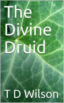 The Divine Druid: The Crossing