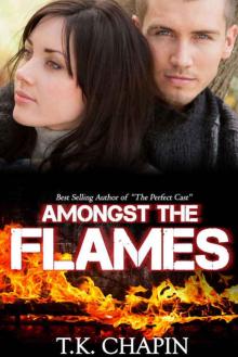 Amongst The Flames: A Contemporary Christian Romance (Embers and Ashes Book 1)