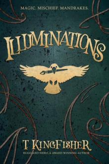 Illuminations Illuminations