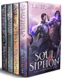 Soul Siphon: Set includes four books: Midnight Blade, Kingsbane, Ash and Steel, Sentinels of the Stone (Soul Stones)