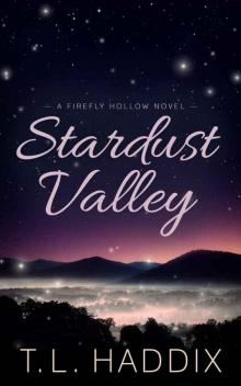 Stardust Valley (Firefly Hollow Book 9)