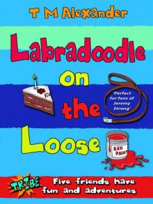 Labradoodle on the Loose Labradoodle on the Loose