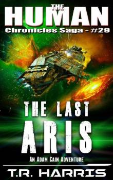 The Last Aris_A desperate race to save the universe ... or not.
