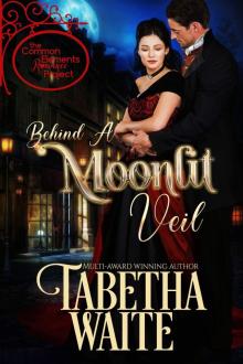 Behind a Moonlit Veil Behind a Moonlit Veil