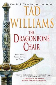 Memory, Sorrow, and Thorn 01 - The Dragonbone Chair