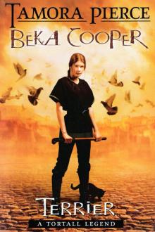 Beka Cooper 1 - Terrier Beka Cooper 1 - Terrier