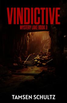 Vindictive (Mystery Lake Series Book 9) Vindictive (Mystery Lake Series Book 9)