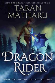 Dragon Rider Dragon Rider