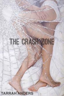 The Crash Zone (The Zone Series Book 2)
