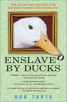 Enslaved by Ducks