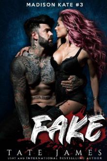 FAKE (Madison Kate Book 3) FAKE (Madison Kate Book 3)
