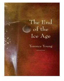 The End of the Ice Age
