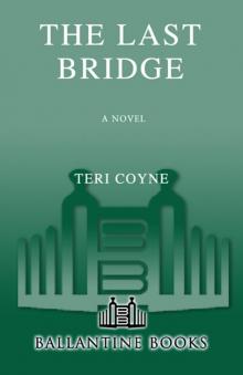 The Last Bridge