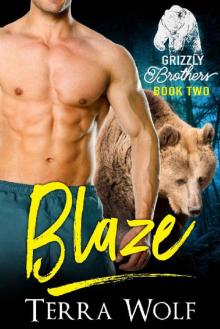 Blaze (BBW Paranormal Shapeshifter Romance) (The Grizzly Brothers Book 2)
