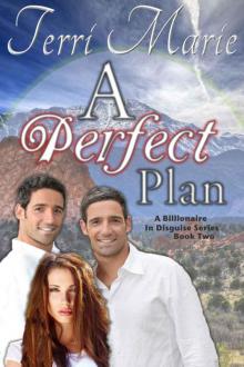 A Perfect Plan (A Billionaire in Disguise)