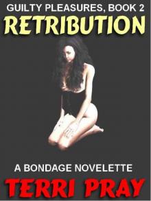 Retribution: An Erotic Novelette [Dangerous Pleasures #2]