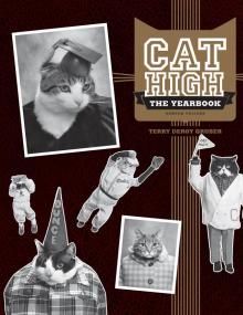 Cat High Cat High