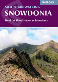 Mountain Walking in Snowdonia