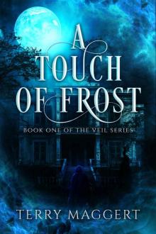 A Touch of Frost (The Veil Book 1) A Touch of Frost (The Veil Book 1)