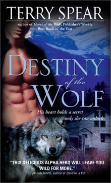 Destiny of the Wolf hotw-2