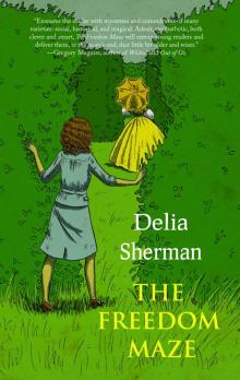 Delia Sherman, The Freedom Maze Delia Sherman, The Freedom Maze