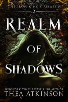 Realm of Shadows (The Iron King's Assassin Book 2)