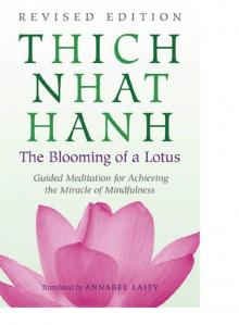 The Blooming of a Lotus