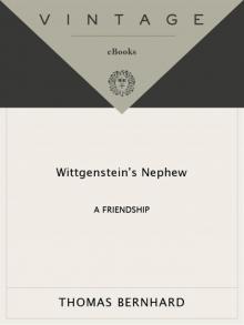 Wittgenstein's Nephew