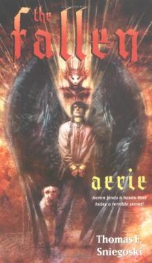 Aerie f-3