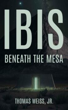 Ibis Beneath The Mesa