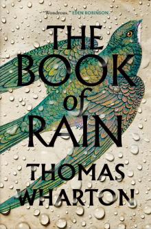 The Book of Rain