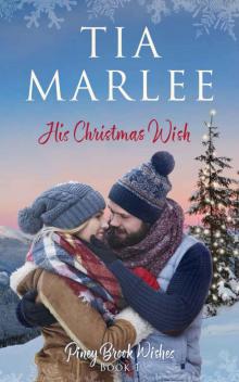 His Christmas Wish (Piney Brook Wishes Book 1)