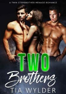 Two Brothers: A Twin Stepbrother Ménage Romance