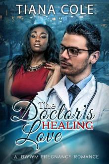 The Doctor's Healing Love (Contemporary BWWM Romance)