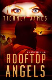 Rooftop Angels (Enigma Series Book 3)