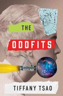 The Oddfits (The Oddfits Series Book 1)