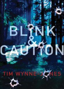 Blink & Caution Blink & Caution