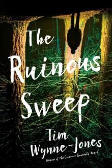 The Ruinous Sweep The Ruinous Sweep