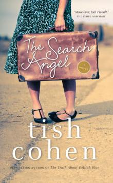 The Search Angel