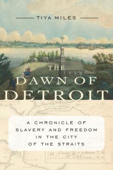Dawn of Detroit