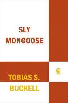 Sly Mongoose