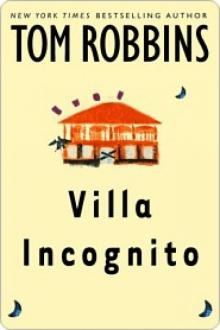 Villa Incognito Villa Incognito Villa Incognito