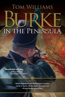 Burke in the Peninsula (James Burke, spy Book 4)
