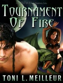 Tournament of Fire Tournament of Fire
