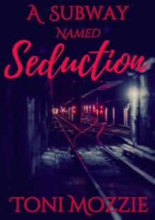 A Subway Named Seduction: A Public Encounter